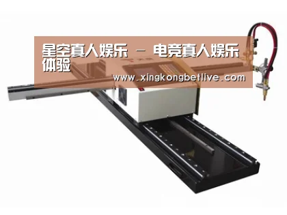 案例展示一