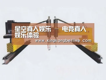 产品名称十七