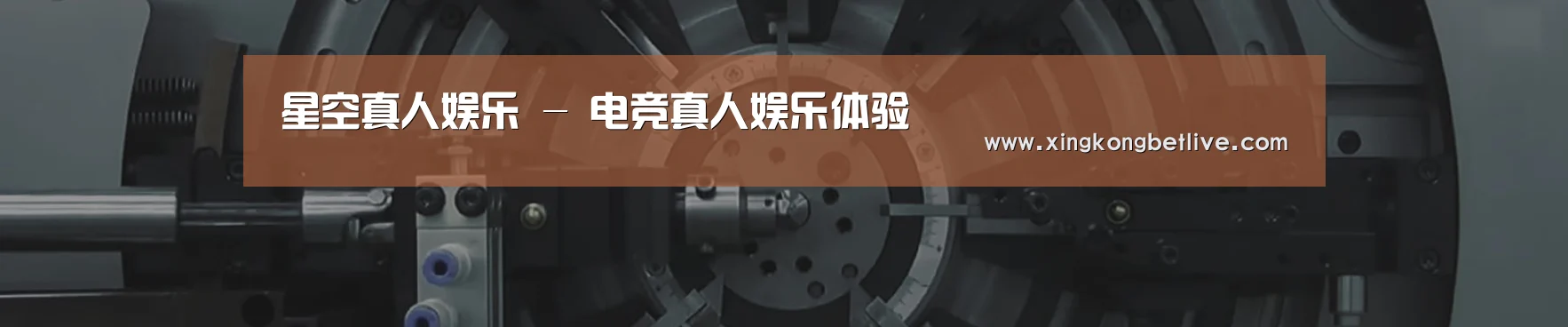 某某机械公司