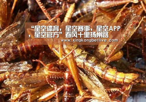 “星空体育,星空赛事,星空APP,星空官方”春风十里扬州路(图1) 星空体育,星空赛事,星空APP,星空官方