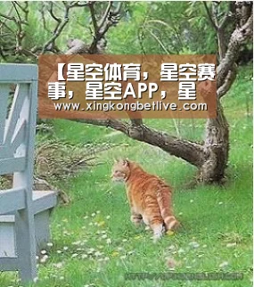 星空体育，星空赛事，星空APP，星空官方