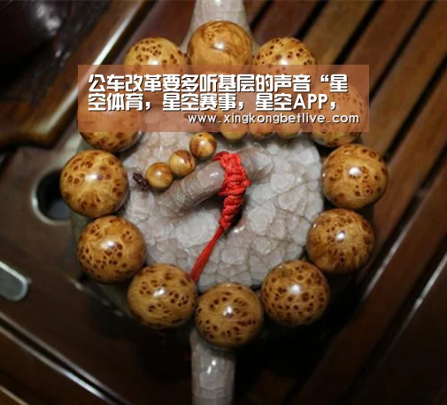 公车改革要多听基层的声音“星空体育,星空赛事,星空APP,星空官方”(图2) 星空体育,星空赛事,星空APP,星空官方