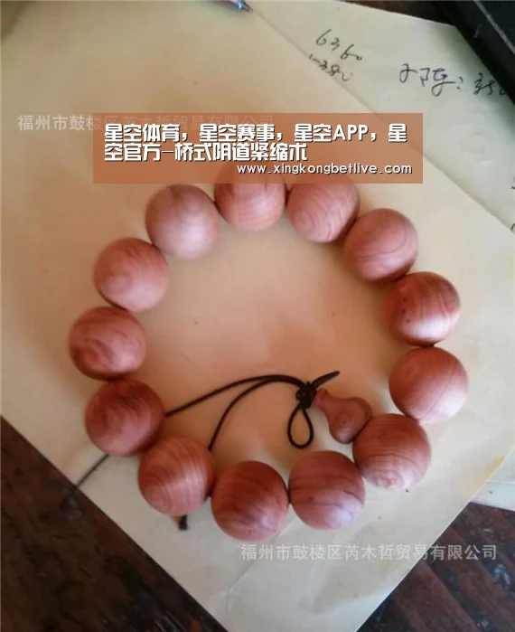 星空体育，星空赛事，星空APP，星空官方