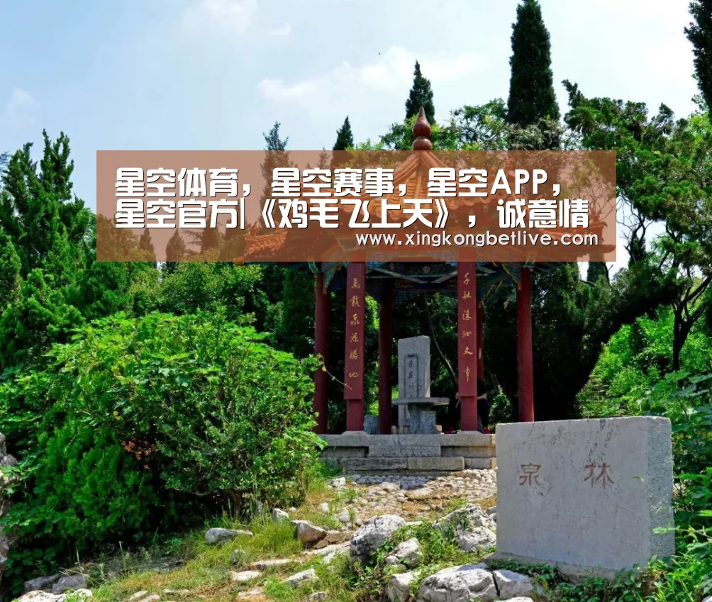 星空体育,星空赛事,星空APP,星空官方|《鸡毛飞上天》,诚意情怀的鸡毛飞得高(图2) 星空体育,星空赛事,星空APP,星空官方