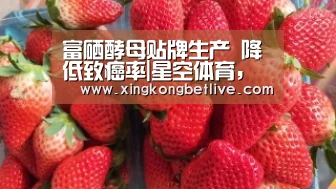 富硒酵母贴牌生产 降低致癌率|星空体育,星空赛事,星空APP,星空官方(图3) 星空体育,星空赛事,星空APP,星空官方
