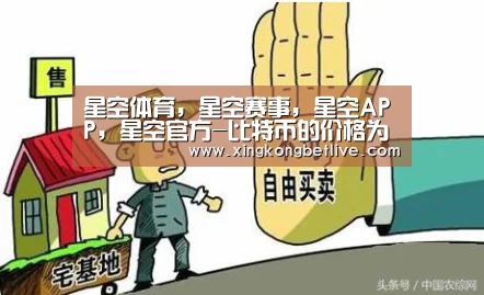 星空体育,星空赛事,星空APP,星空官方-比特币的价格为什么会有波动(图1) 星空体育,星空赛事,星空APP,星空官方